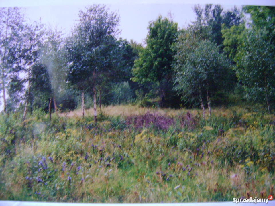 Zawoja Wełcza działka budowlana 1567m2