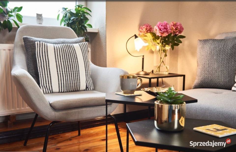 3pok 64met Ceglanej ROZKŁAD Legnica Sprzedaż