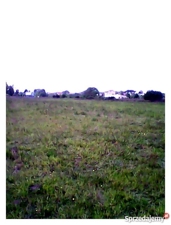 Działka budowlana Kuźnica Podleśna śląskie śląskie sprzedam