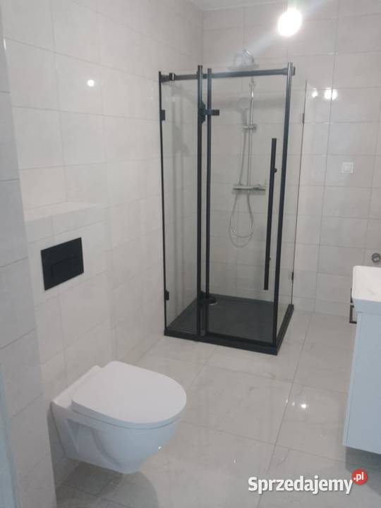 Wynajem minikoparki usługi remontowe