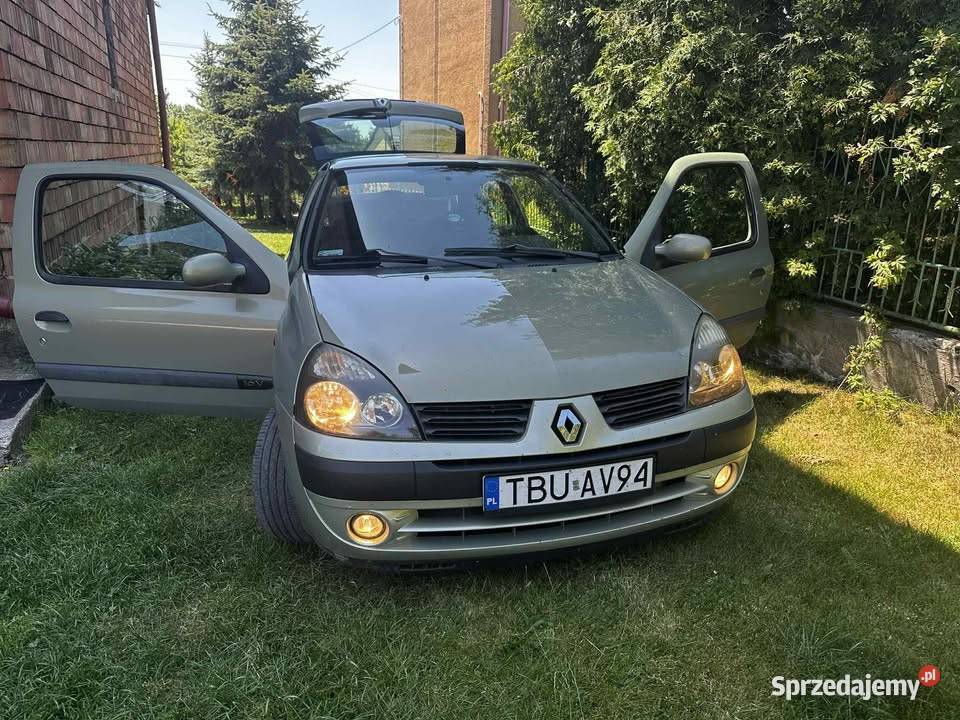 Mały Szerszeń świętokrzyskie sprzedam