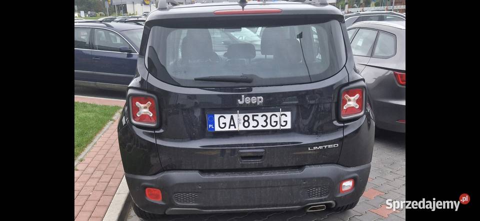 Jeep Renegade pomorskie Mosty
