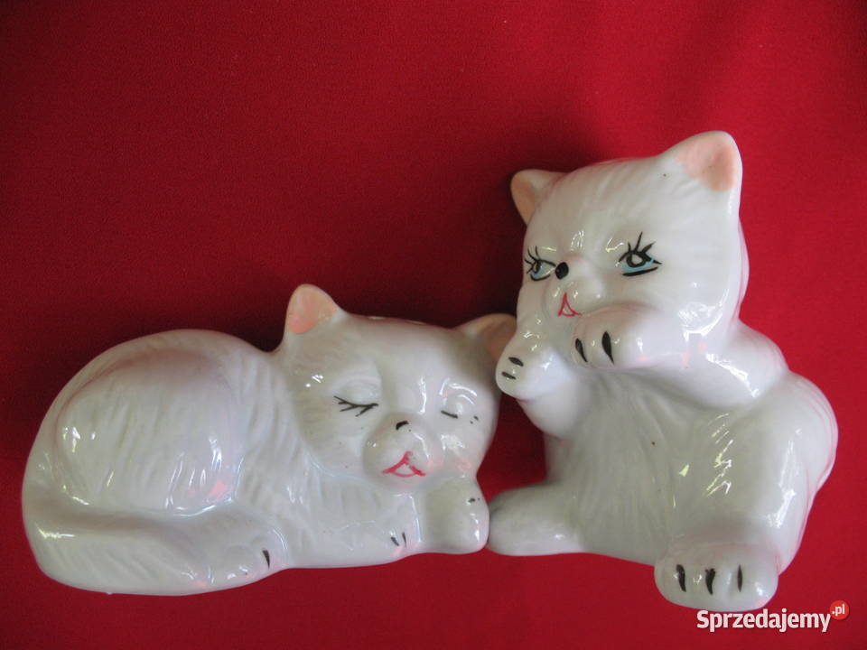 Sól i pieprz Kotki Solniczka i pieprzniczka biały mazowieckie