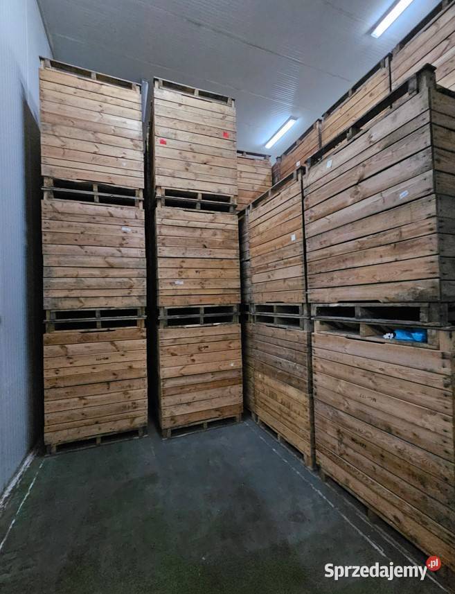 Skrzyniopalety drewniane sprzedam Skrzynki i opakowania Opole Lubelskie sprzedam