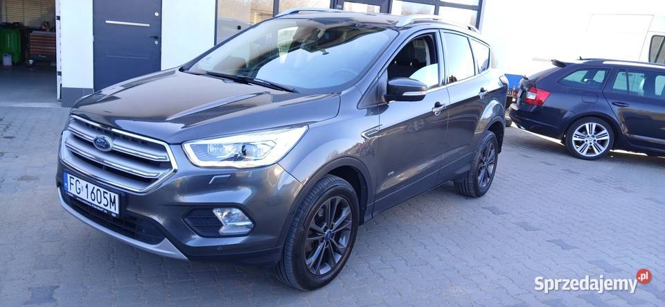 Kuga bezwypadkowa 20Gaz 242 Niski przebieg