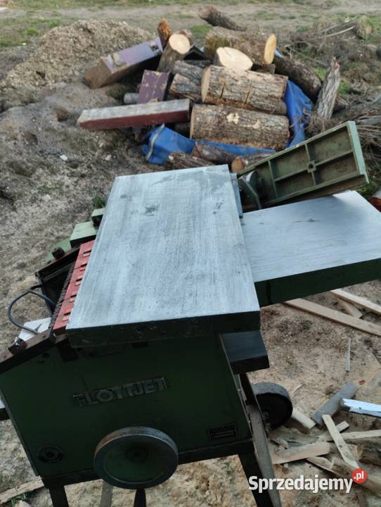 Heblarka Grubosciowka Kaliska