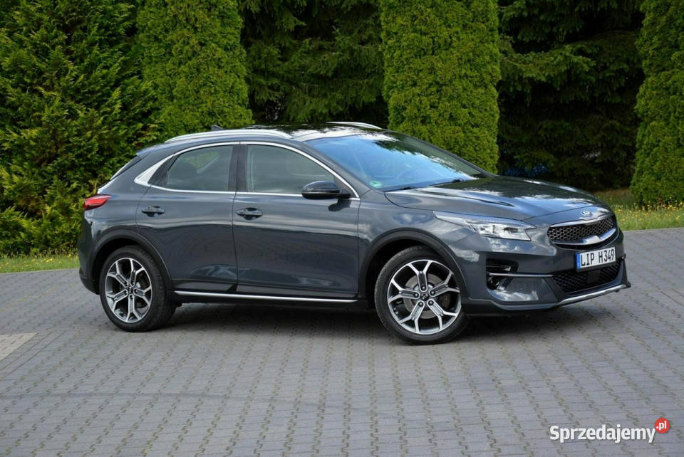 Kia XCeed Launch Full Led Panorama RadarACC JBL Ostrów Mazowiecka