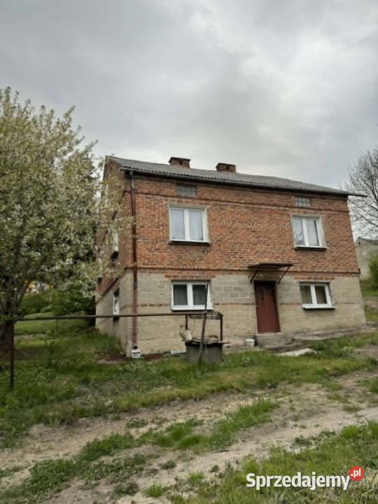 Dom w Trzcianie piwnica podkarpackie