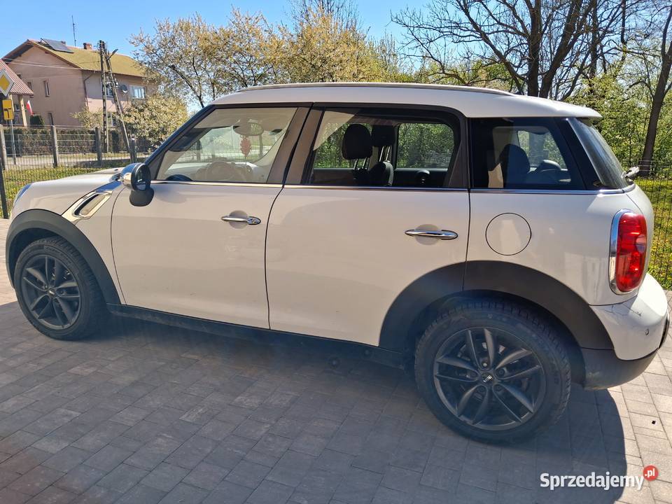 Mini countryman Obsza