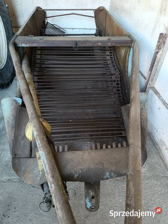 Kopaczka elewatorowa Przedecz