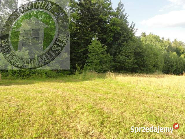 Grunt Mogilno 900m woda małopolskie