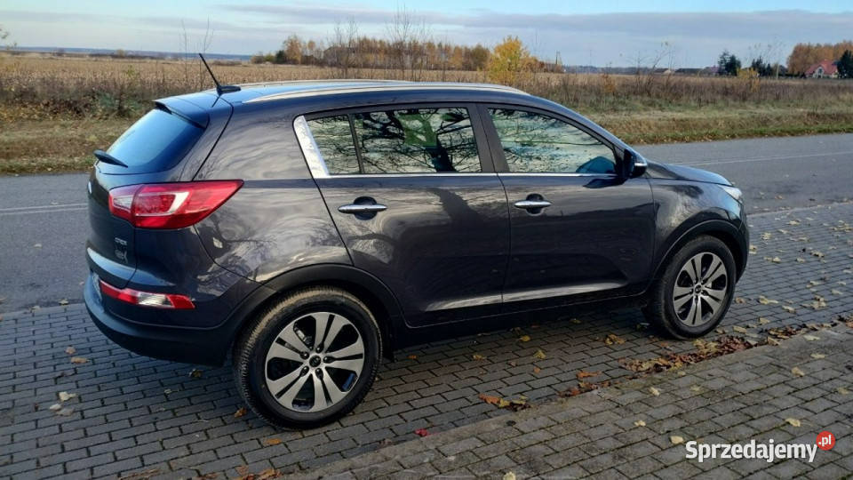 Kia Sportage Rok produkcji 2014 Przasnysz
