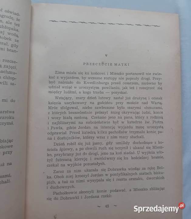 Karol Bunsch Ojcie c i syn 2 tomy w 1 Wydawn Antykwariat wielkopolskie Koźminek