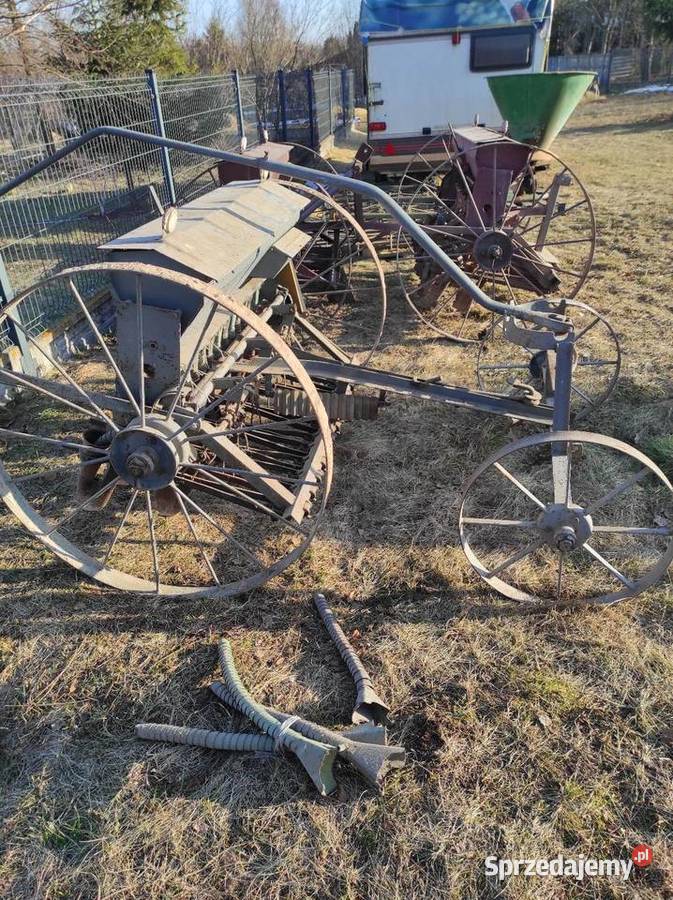 Sprzedam siewniki Wielkie Oczy