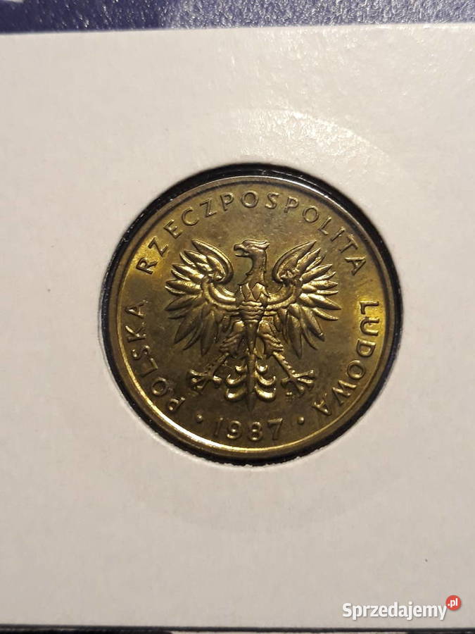 5 złotych 1987 r około mennicze Konin