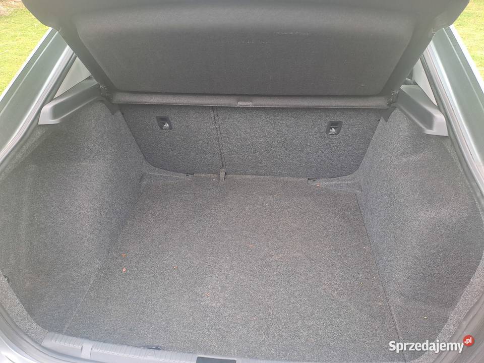 SKODA RAPID 12 TSI pierwszy właściciel przebieg 1197cm3 Owczary