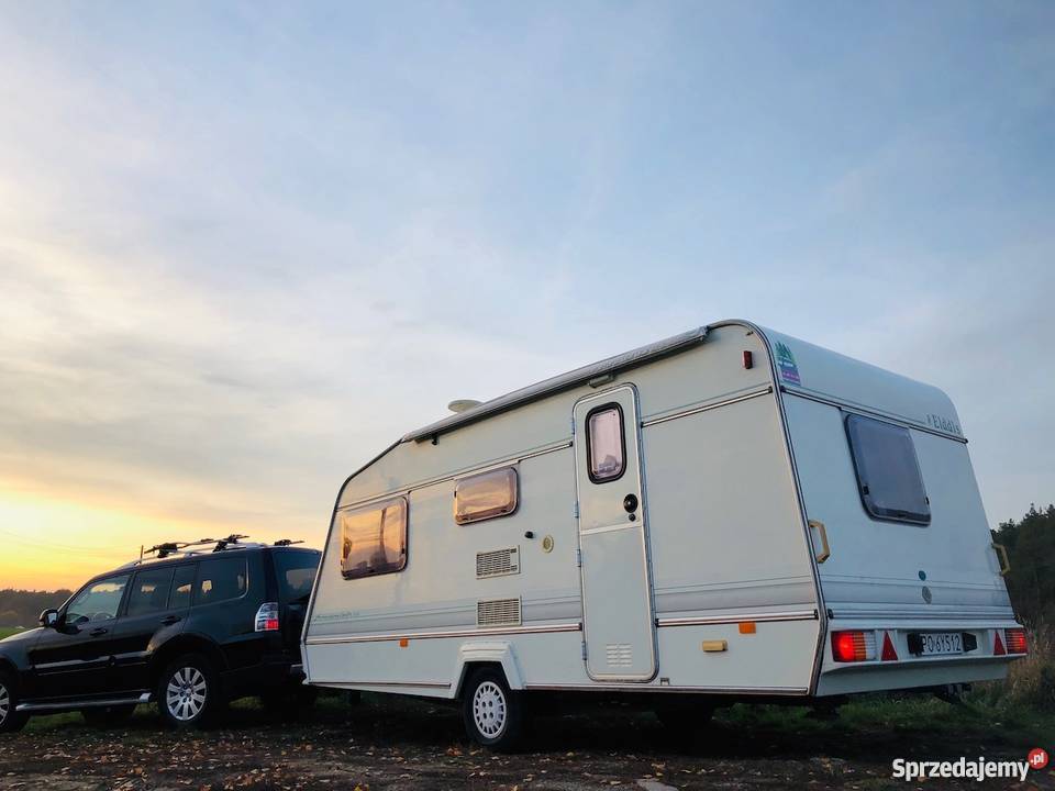 ELDDIS EQUIPE Czapury sprzedam