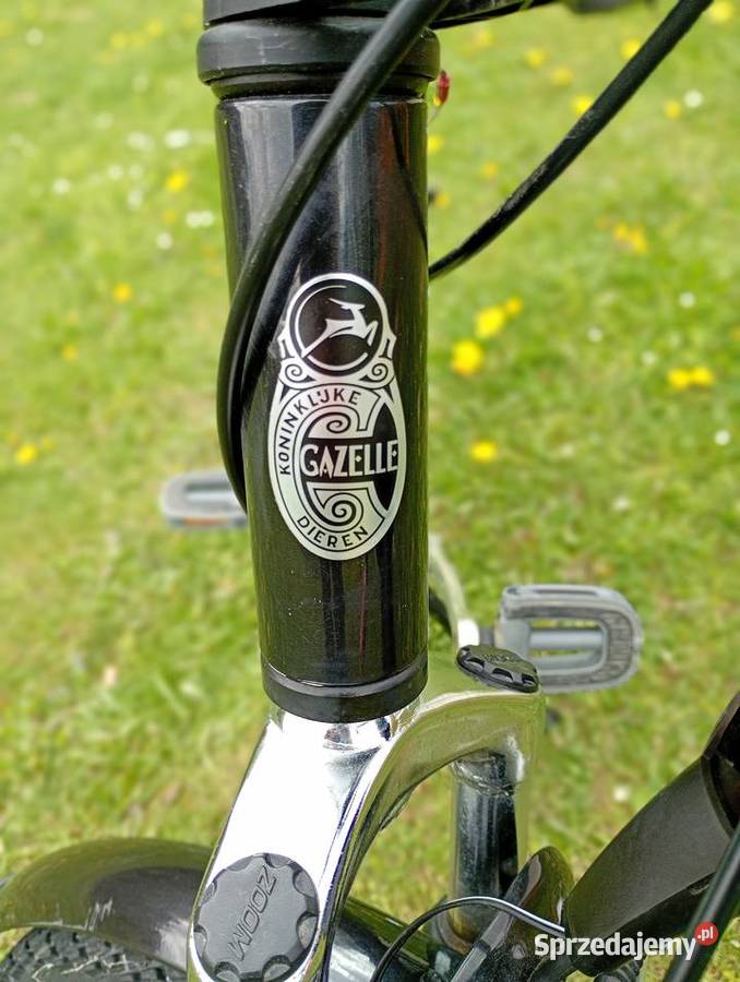 Rower gazelle podkarpackie Tarnowiec