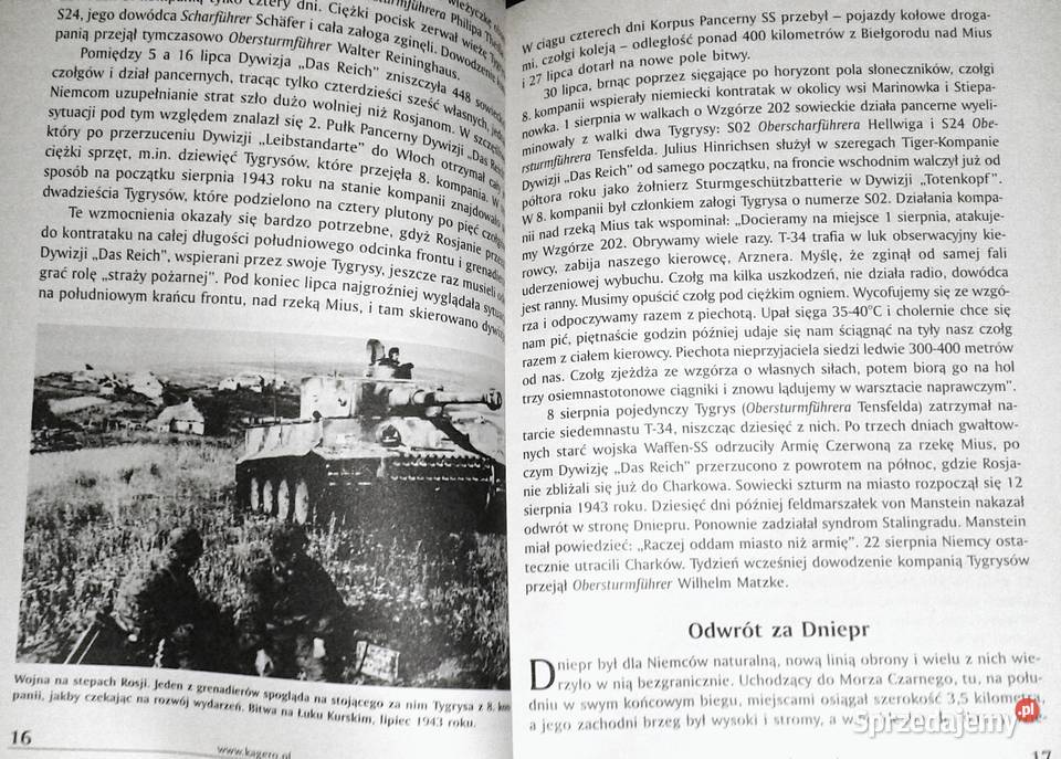 Pancerna pięść Tomasz Szlagor Pozostałe lubelskie Chełm