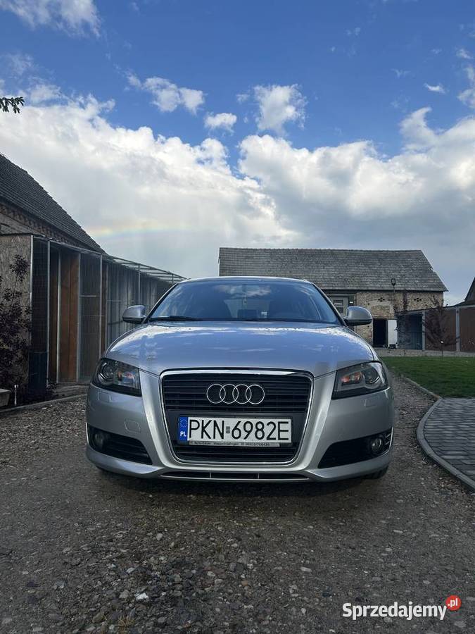Audi A3 8P Gorzów Wielkopolski sprzedam