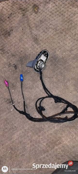 Oryginalna antena dwupinowa A4 B8 A5 8t osobowe Motoryzacja Lubin