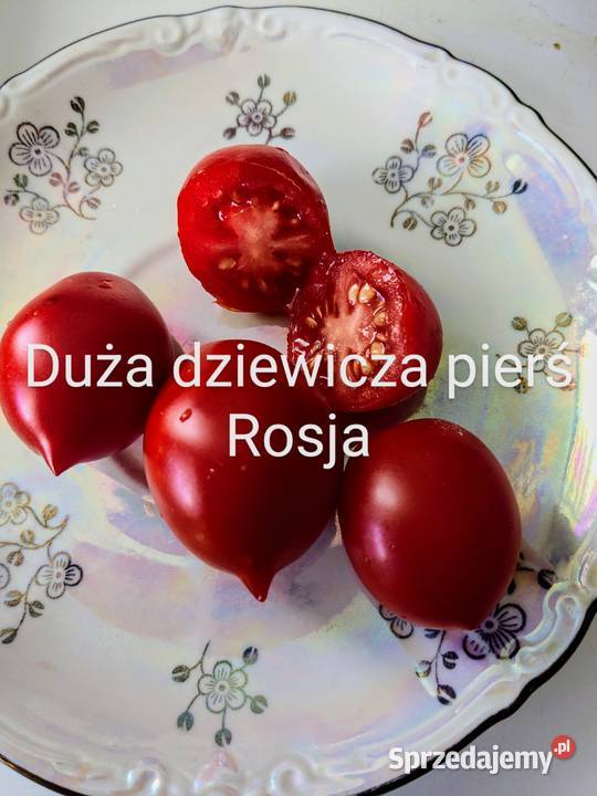Zestaw Rosja pomidor ki Duża dziewicza pierś Pozostałe Kraków