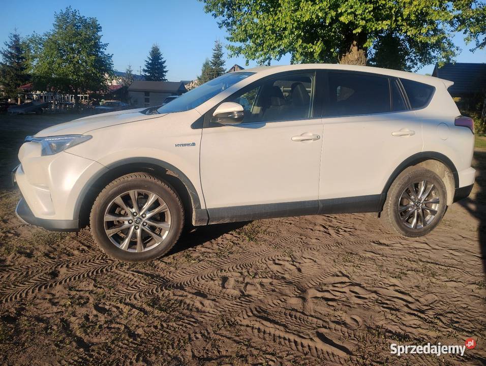 Toyota RAV4 hybrid 4x4 ABS Leśna Rzeka