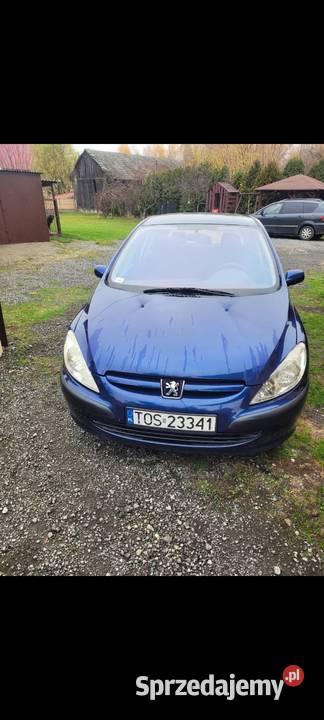 peugeot 307 Bodzechów