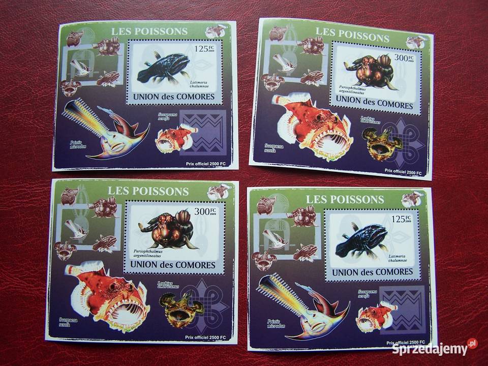 Komory 2009 MNH Fauna Życie Morskie Ryby Nakład Tychy