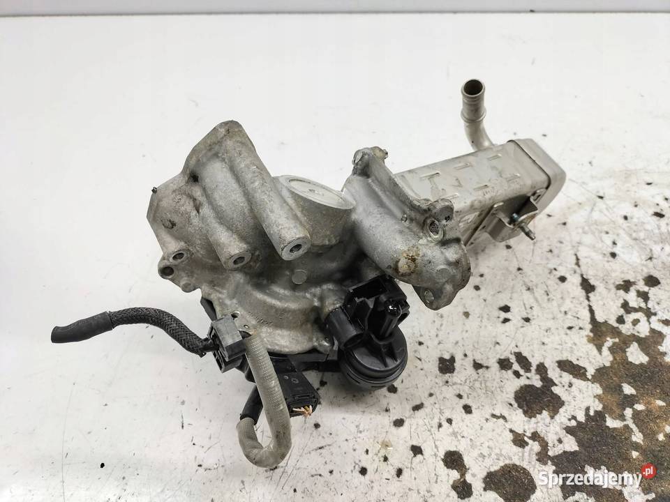 CHŁODNICA SPALIN 20 TDCI Ford Focus Mk3 20102019