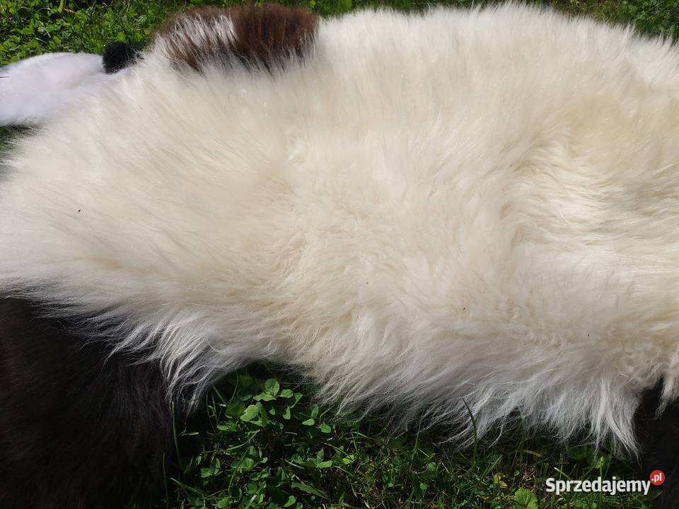 Baranek Dywanik Naturalny Skóra Owcza Dywan Szaflary
