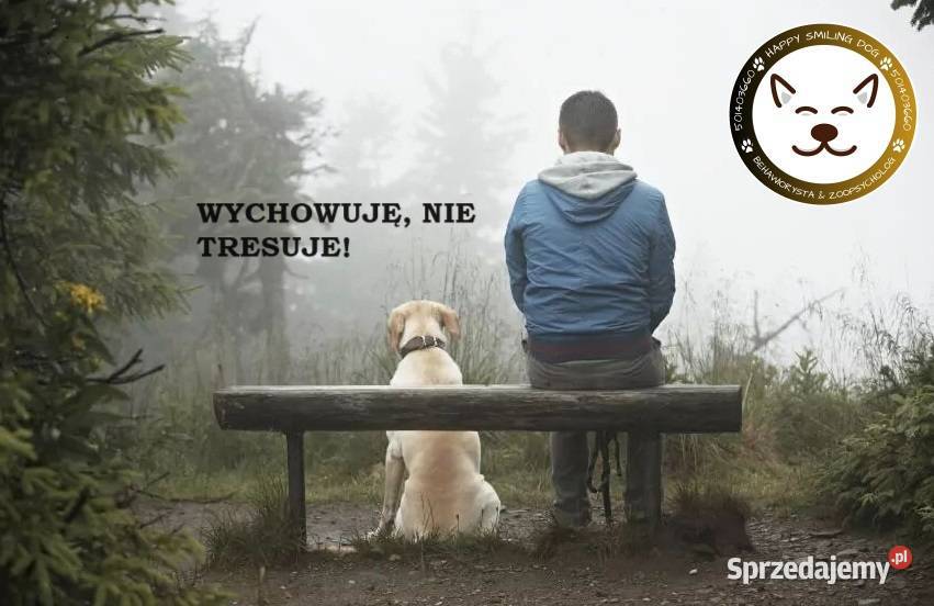 Behawiorysta pierwszy kontakt z psem adoptowanym usługa dla zwierząt