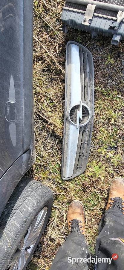 Grill Atrapa Chłodnicy Opel Meriva A Lift Motoryzacja śląskie Wodzisław Śląski