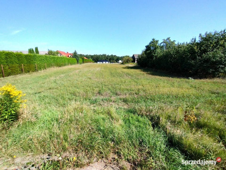 sprzedaży gruntu 1900m2 Prawiedniki