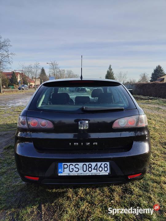 Seat Ibiza III 2007 14 benzyna manualna wielkopolskie Pawłowice sprzedam