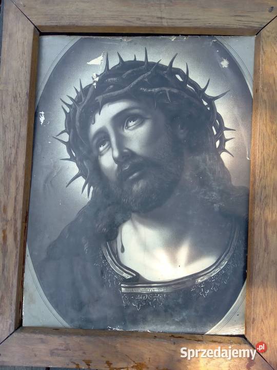 Stare oleodruki Antyki, Sztuka, Kolekcje