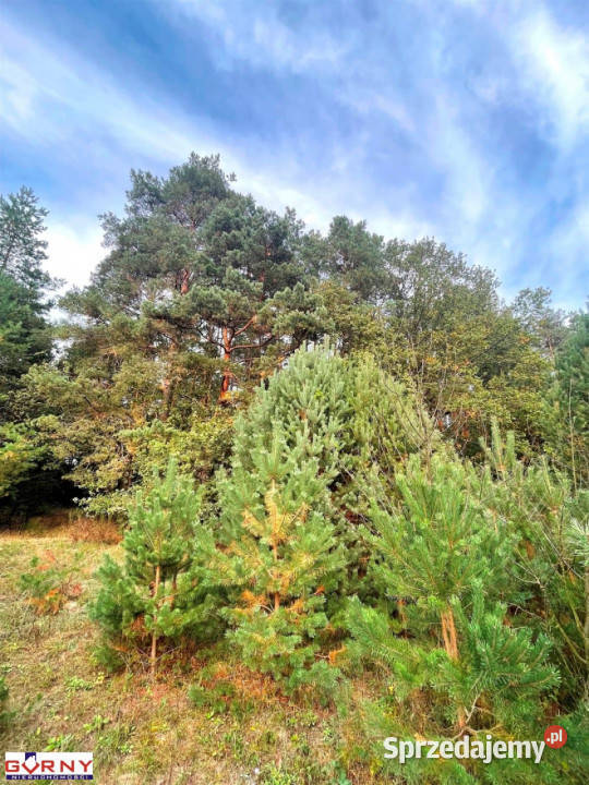 Działka Antoniówka 4675m2 sprzedam