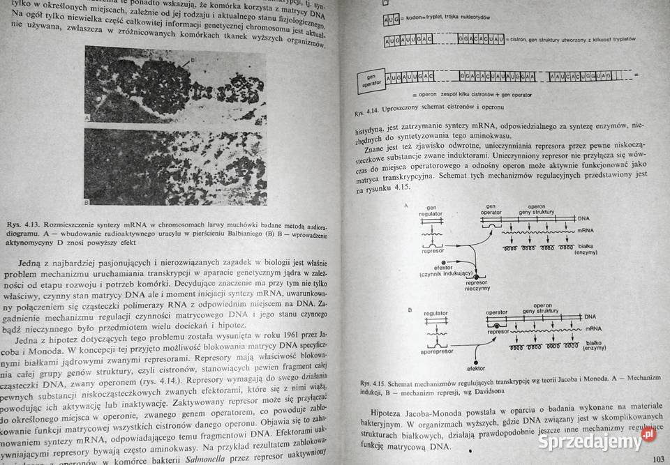 Biochemia biologów Jerzy Trojanowski