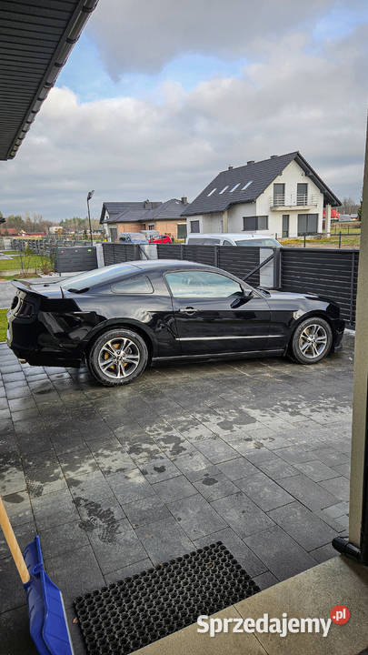 Ford Mustang Shelby look odpalanie z kluczyka benzyna Mustang Jastkowice sprzedam