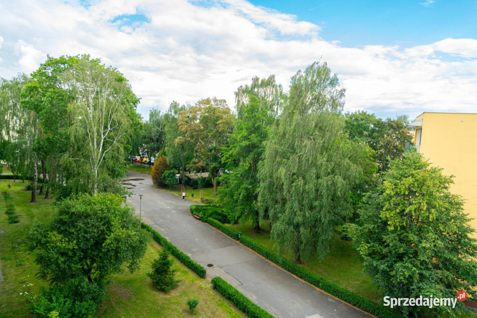 Saska Kępa rozkładowe 3 pokoje z loggią Warszawa