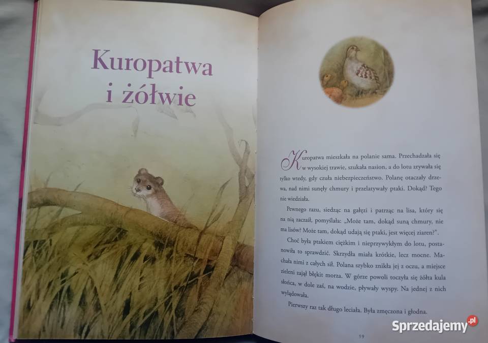 Baśnie świata Kopciuszek i inne baśnie GW Foksal Rok wydania 2015 Koźminek