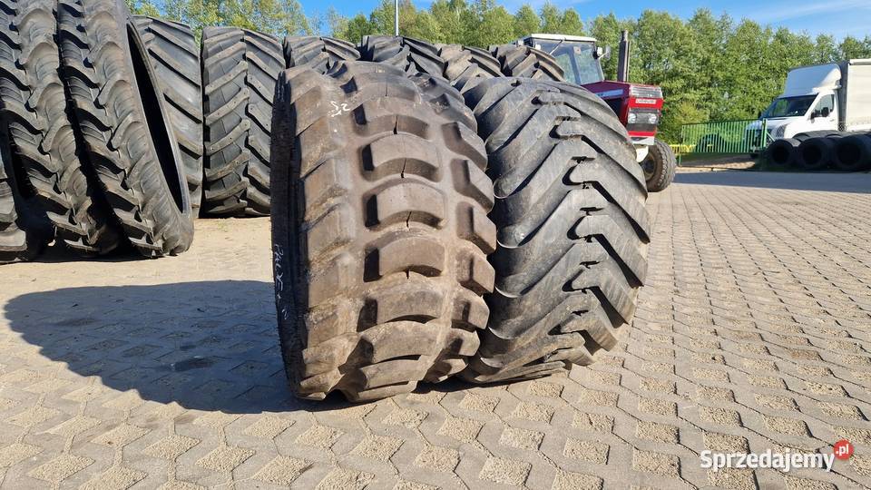 40055175 40055r175 Alliance Amazone Vaderstat warmińsko-mazurskie Nowe Miasto Lubawskie