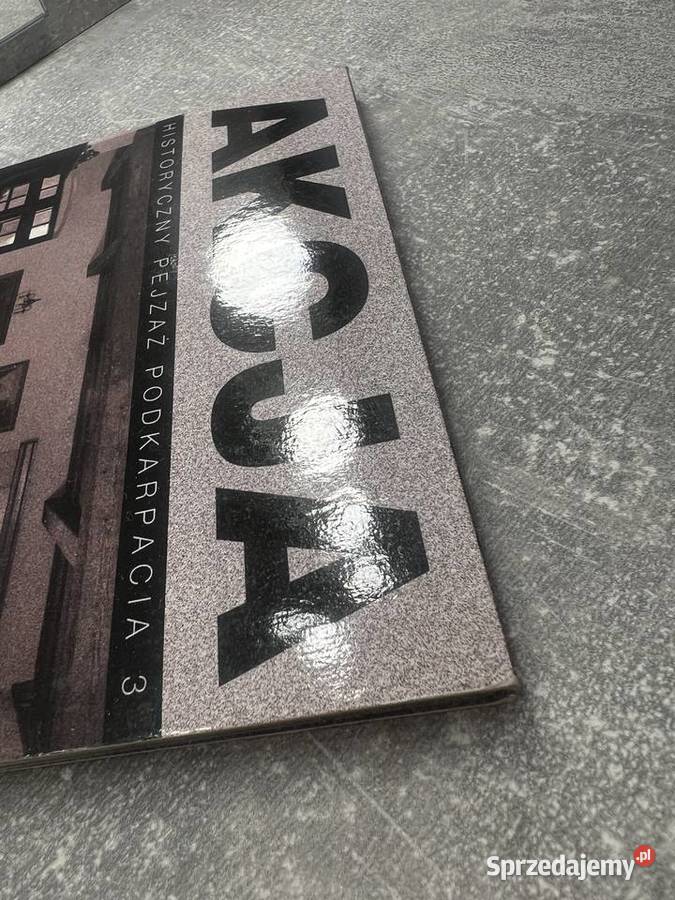 Płyta DVD Akcja Pensjonat Historyczny pejzaż Jasło