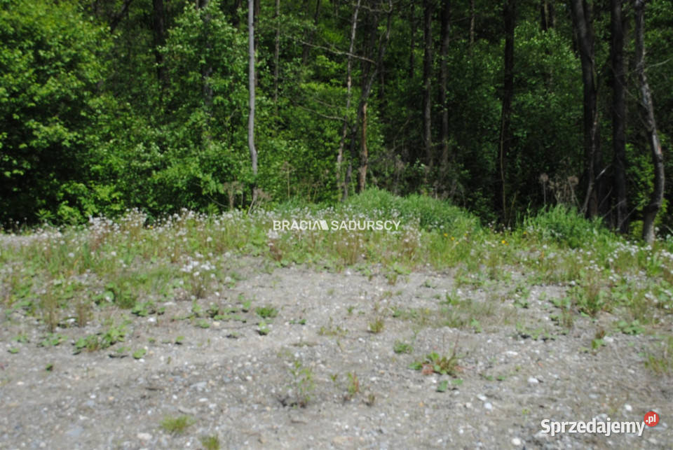Działka Kraków 4490m2 leśna
