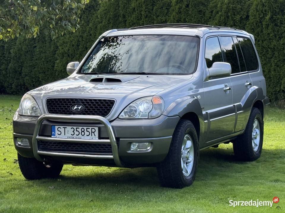 Hyundai Terracan 29 163 automat zabudowa napęd 4x4 Tychy