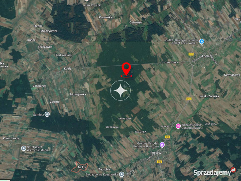Działki leśne do sprzedaży Mokre gm Rossosz Nieruchomości