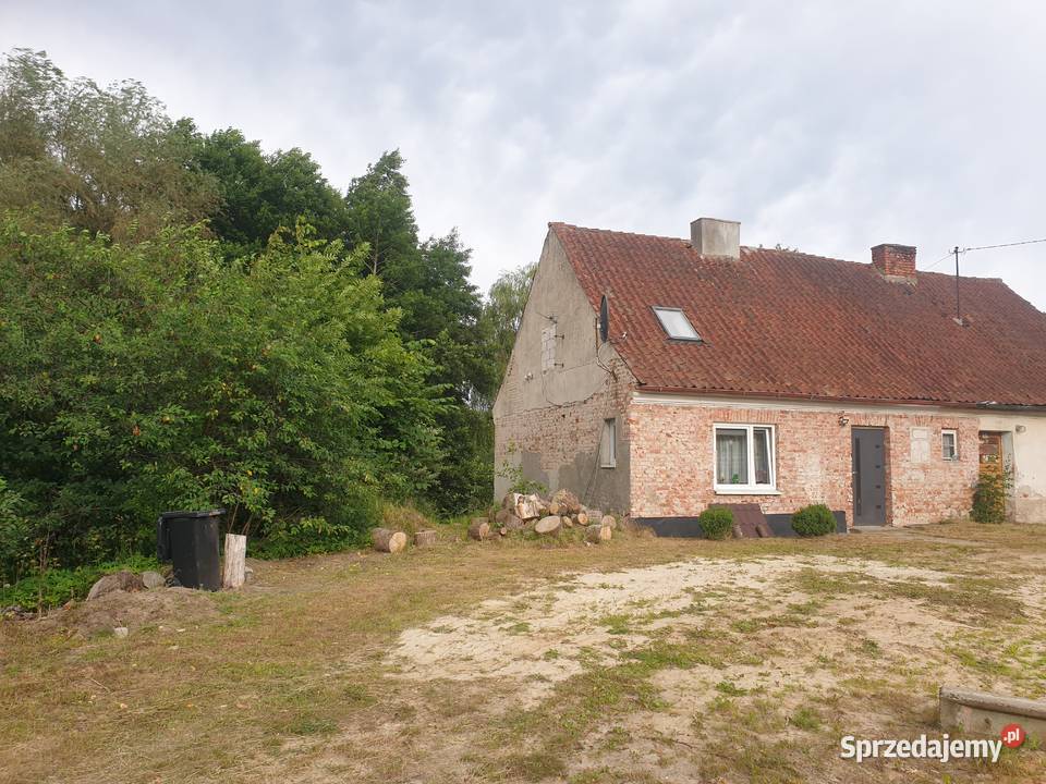 Syndyk sprzeda udziały w działkach w tym udział Skowrony