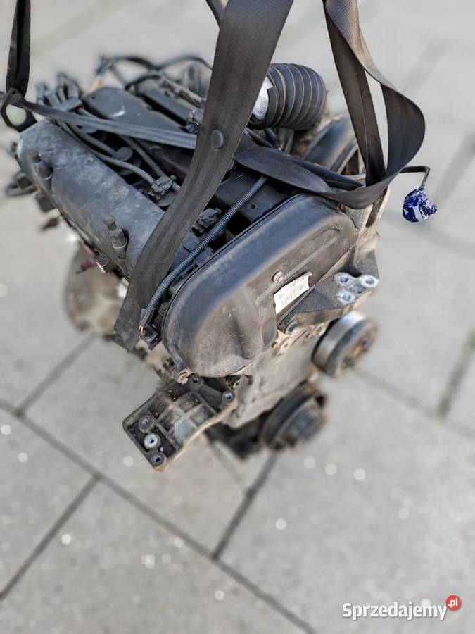 Ford Fiesta MK6 14 16V 80 silnik kompletny kod Jastrzębie-Zdrój sprzedam