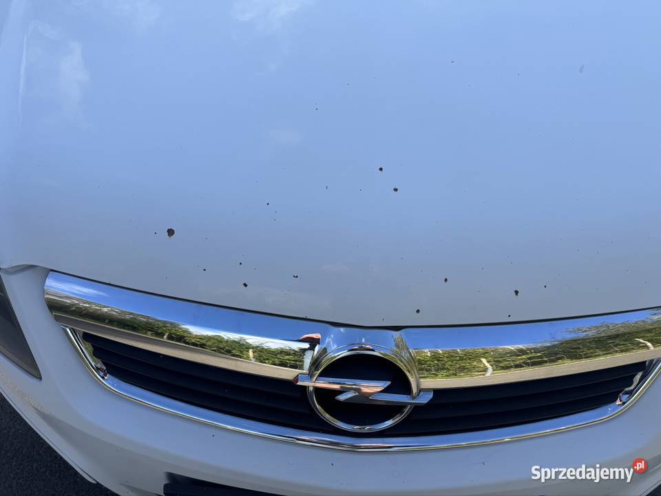 Opel Zafira B lubelskie Lubartów