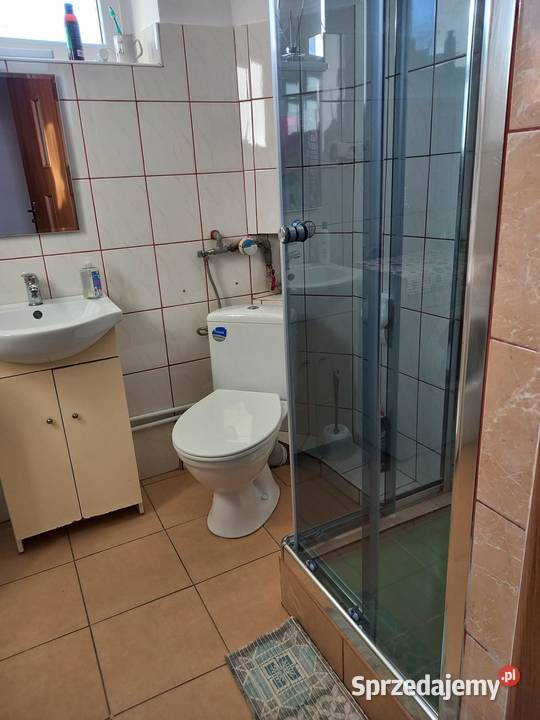 Mieszkanie do wynajęcia Sosnowiec Pogoń Liczba pokoi 2 sprzedam